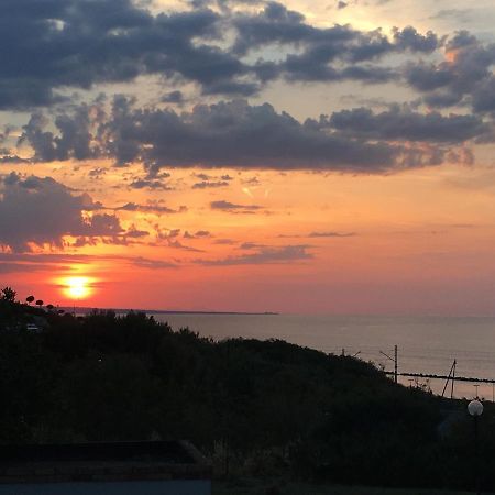 טרמולי Agriturismo Sila מראה חיצוני תמונה